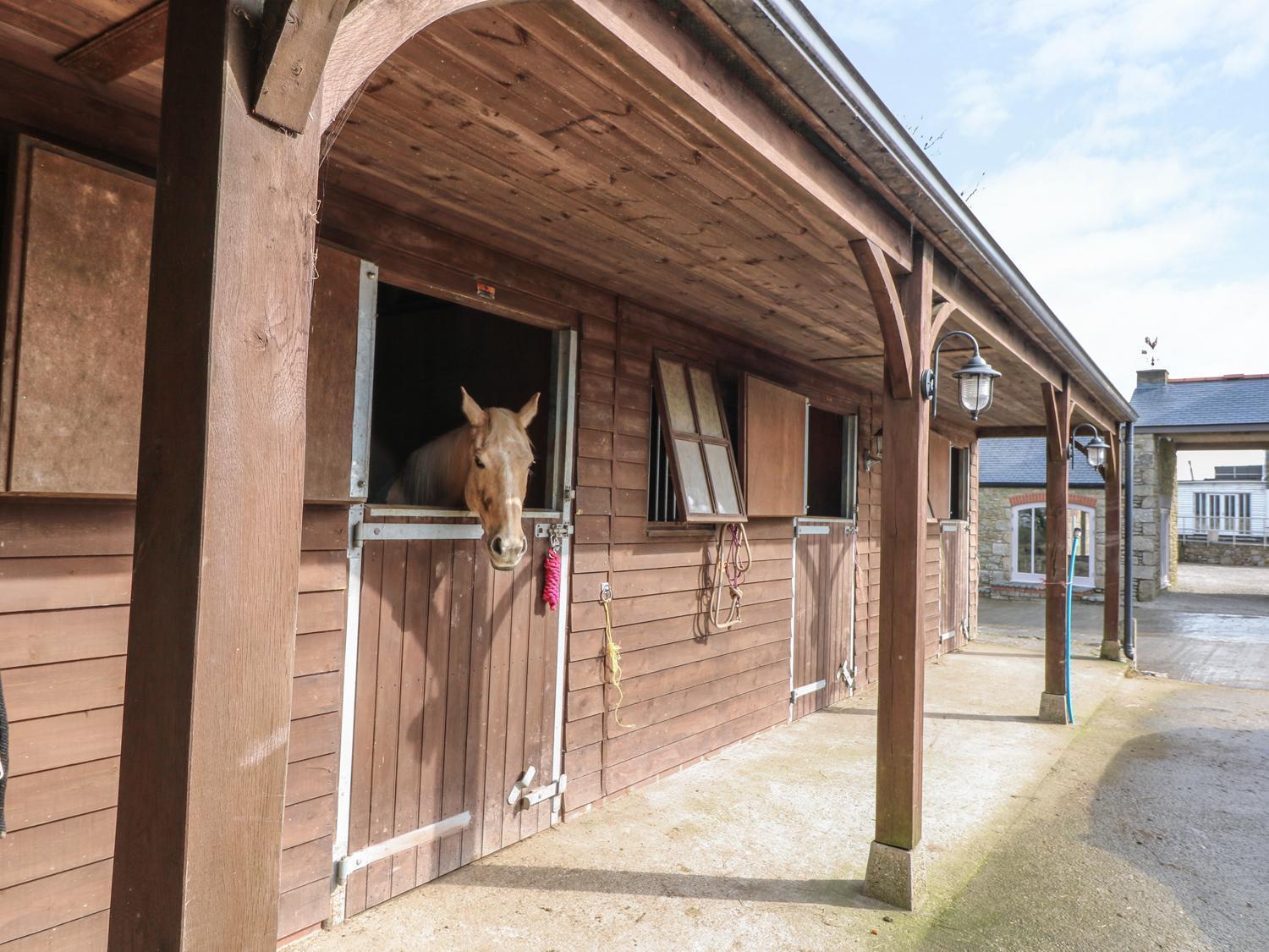 Dexter Villa Penryn Kültér fotó
